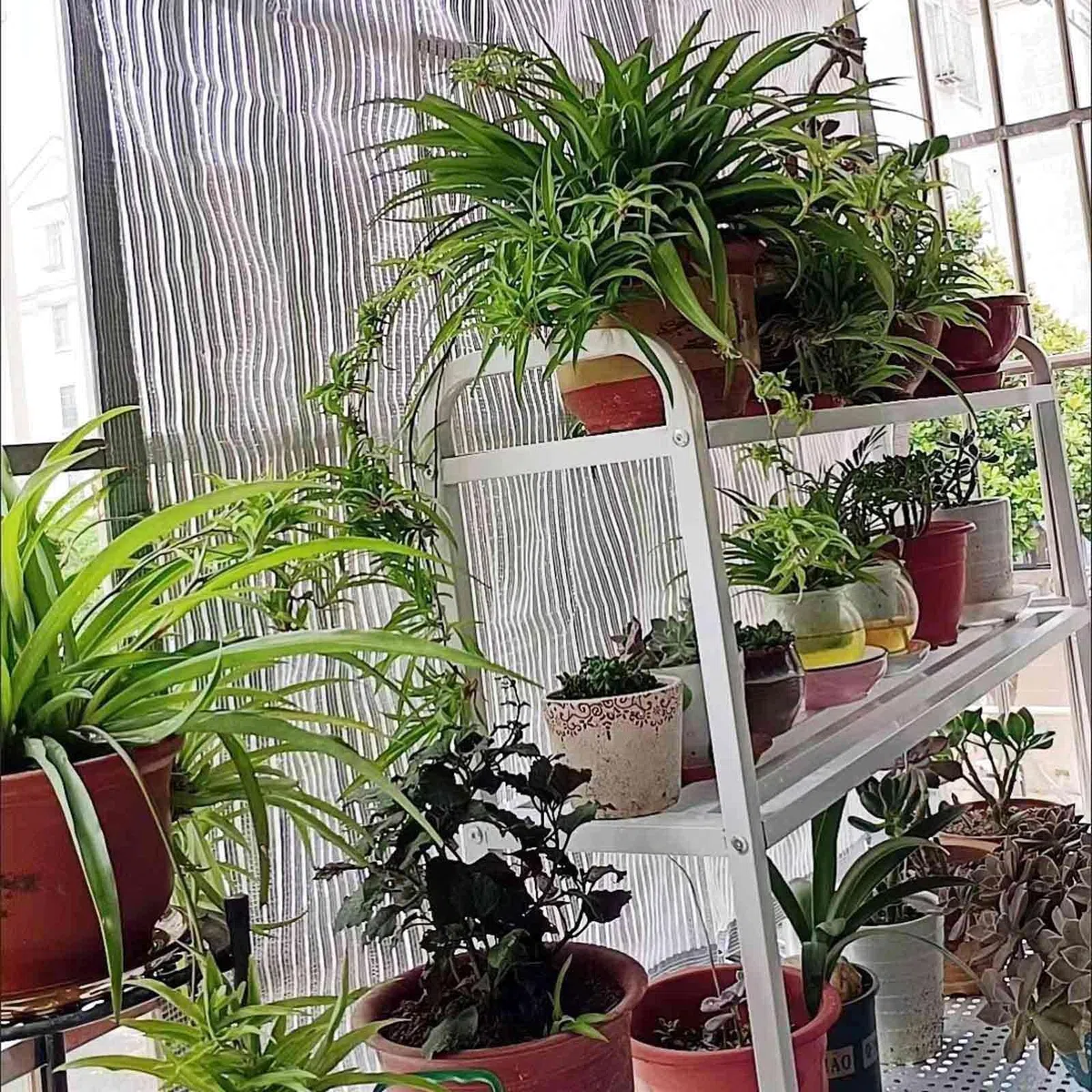 99% aluminiowa siatka zabezpieczająca przed promieniowaniem UV – dostępna w rozmiarach 2 x 2 m, 2 x 4 m, 3 x 6 m, 4 x 4 m, 6 x 9 m – idealna na patio, baseny, do ogrodu, na zewnątrz